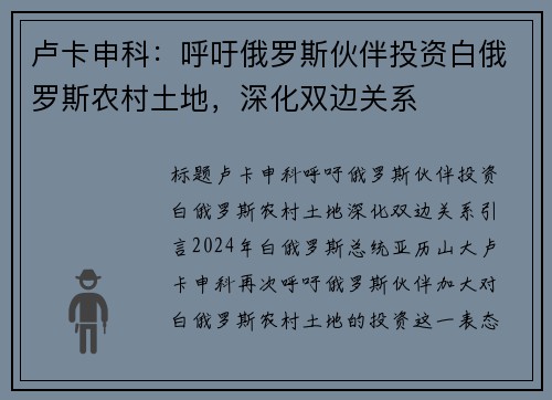 卢卡申科：呼吁俄罗斯伙伴投资白俄罗斯农村土地，深化双边关系
